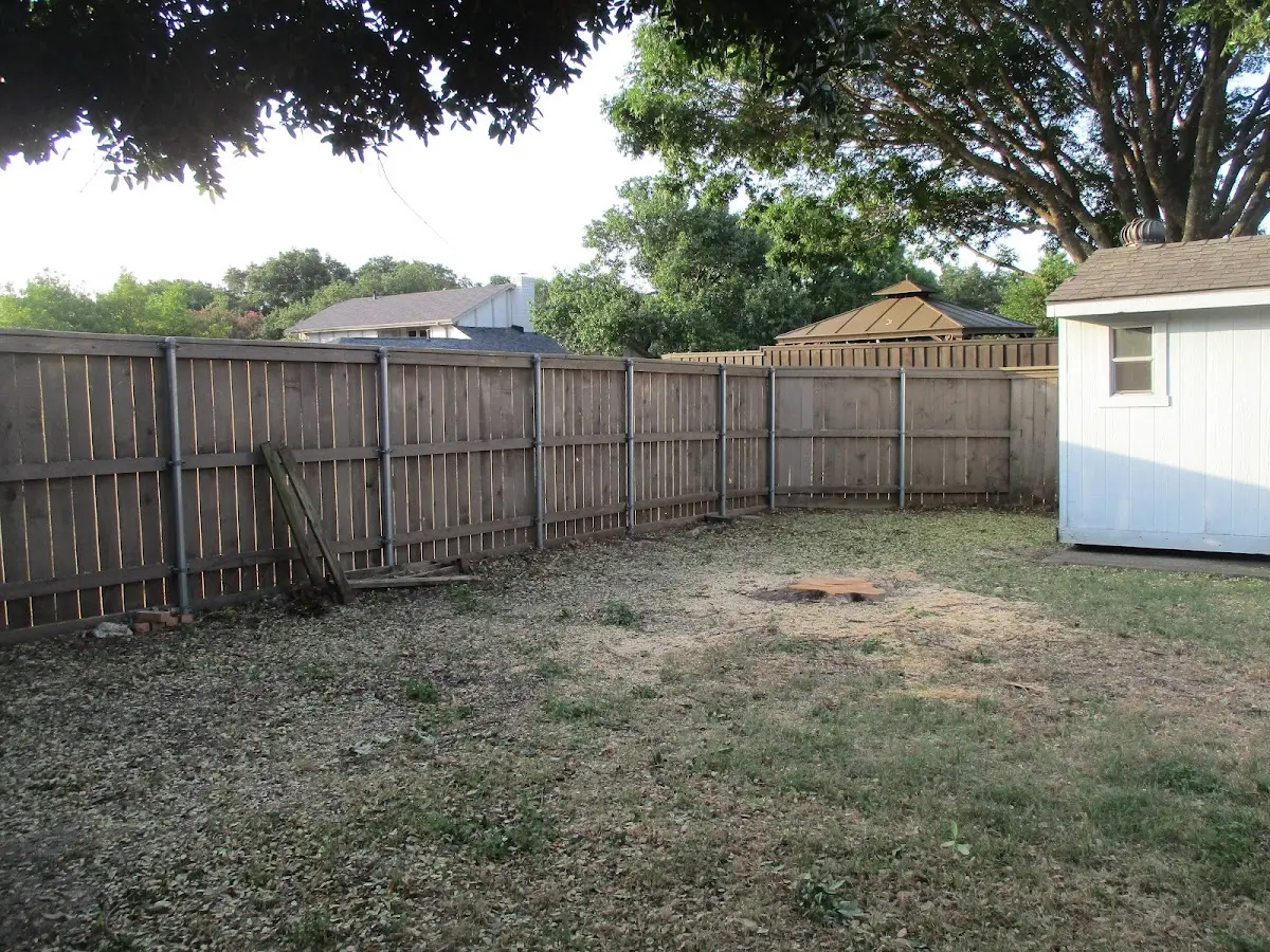 Cleared yard after professional tree removal in Creamery